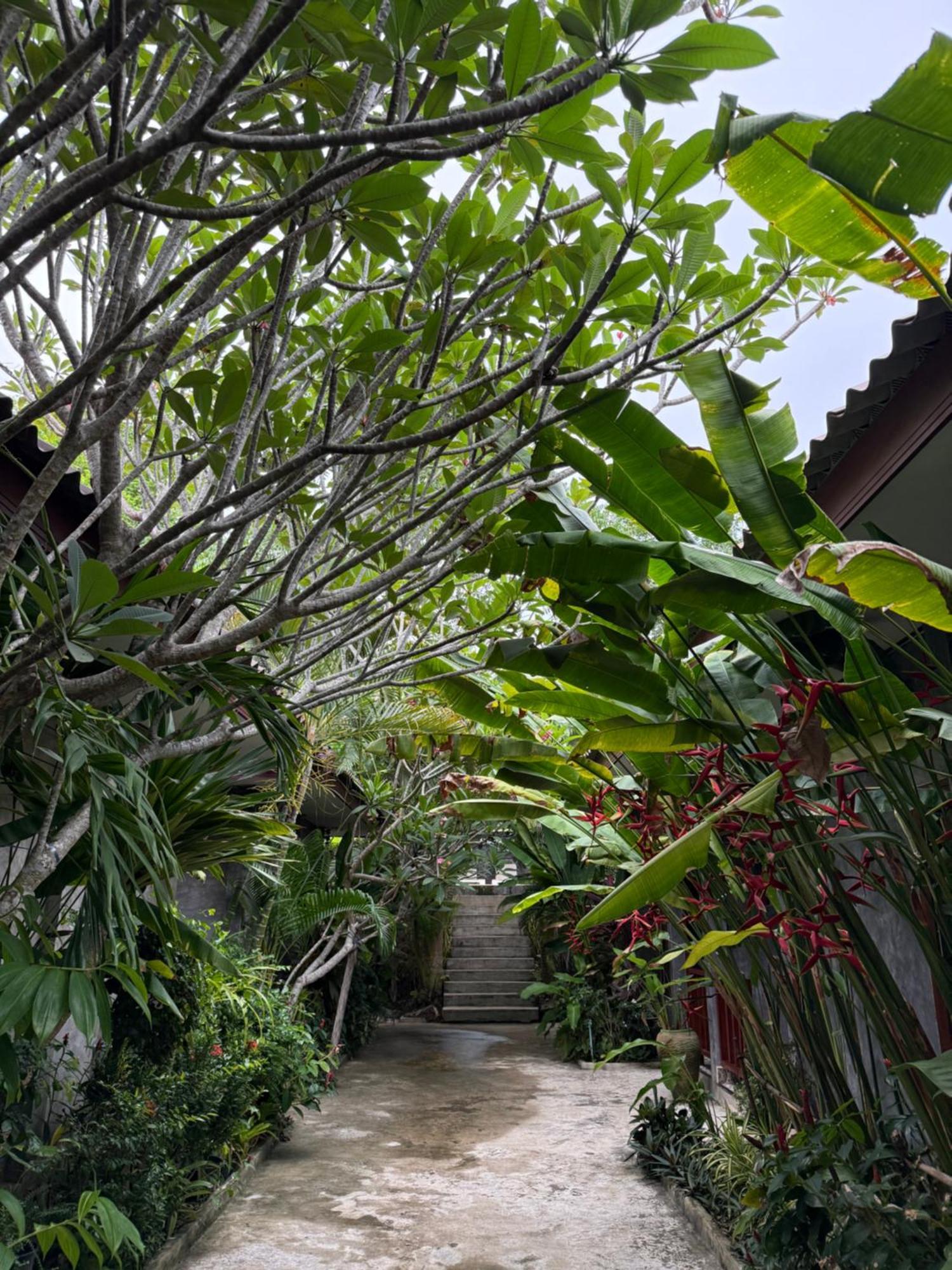Siam Lanta Resort - Sha Extra Plus Ko Lanta Εξωτερικό φωτογραφία